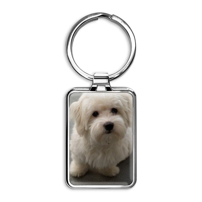 coton de tulear puppy Rectangle Keychain