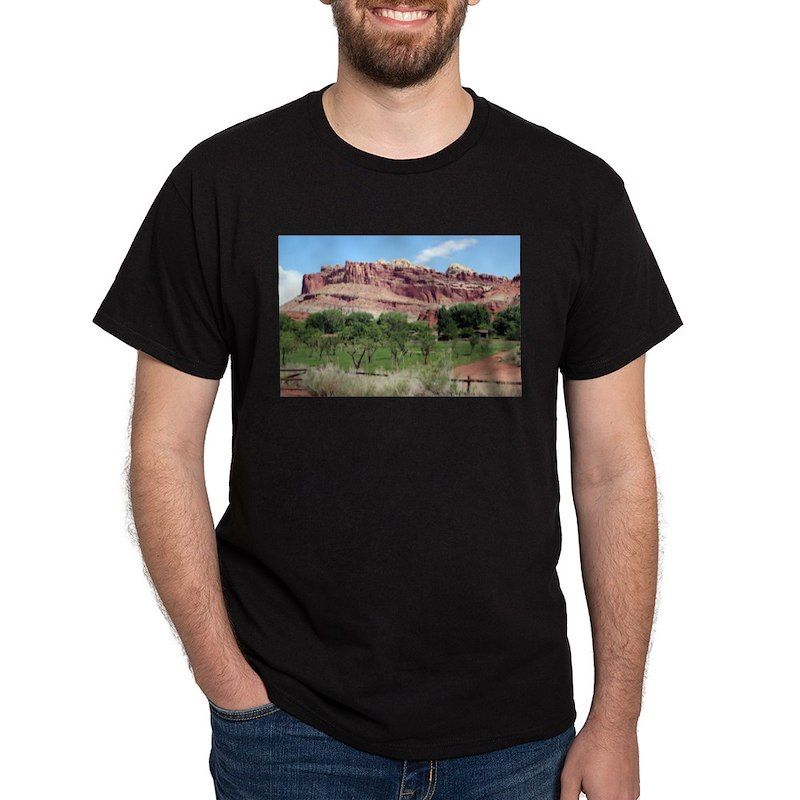 Fruita, Capitol Reef National Park, Utah, Men's Value T-Shirt