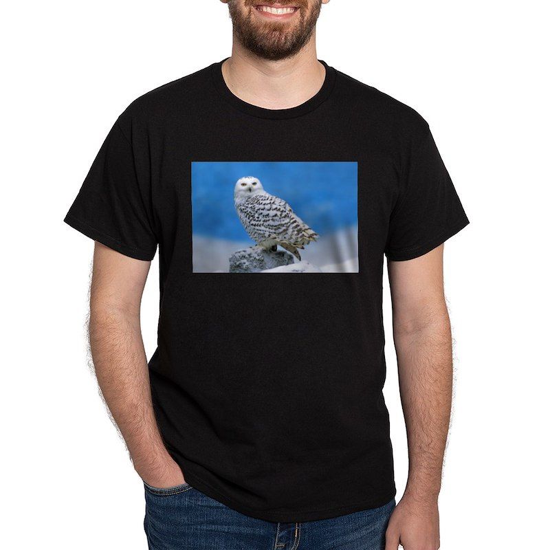 Snowy Owl Men's Value T-Shirt