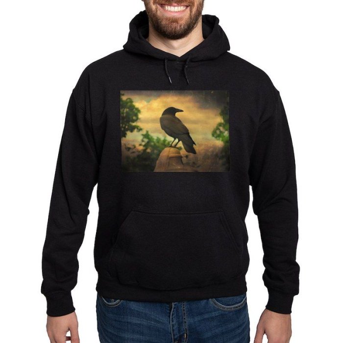 Retro Sky Crow Men's Hooded Sweatshirt